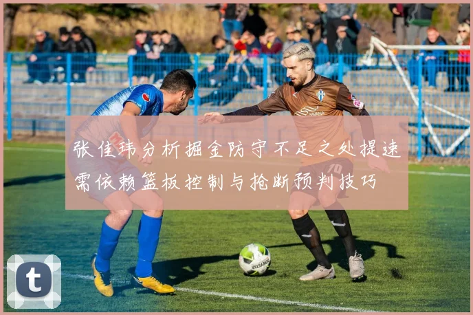 张佳玮分析掘金防守不足之处提速需依赖篮板控制与抢断预判技巧