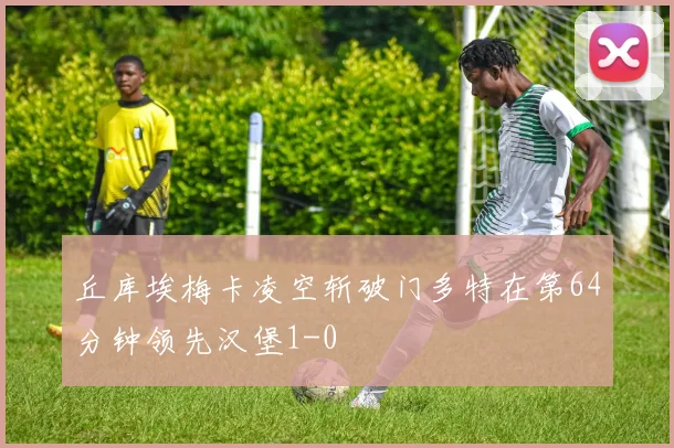 丘库埃梅卡凌空斩破门多特在第64分钟领先汉堡1-0